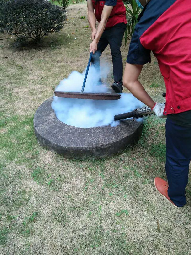 长沙灭鼠控虫