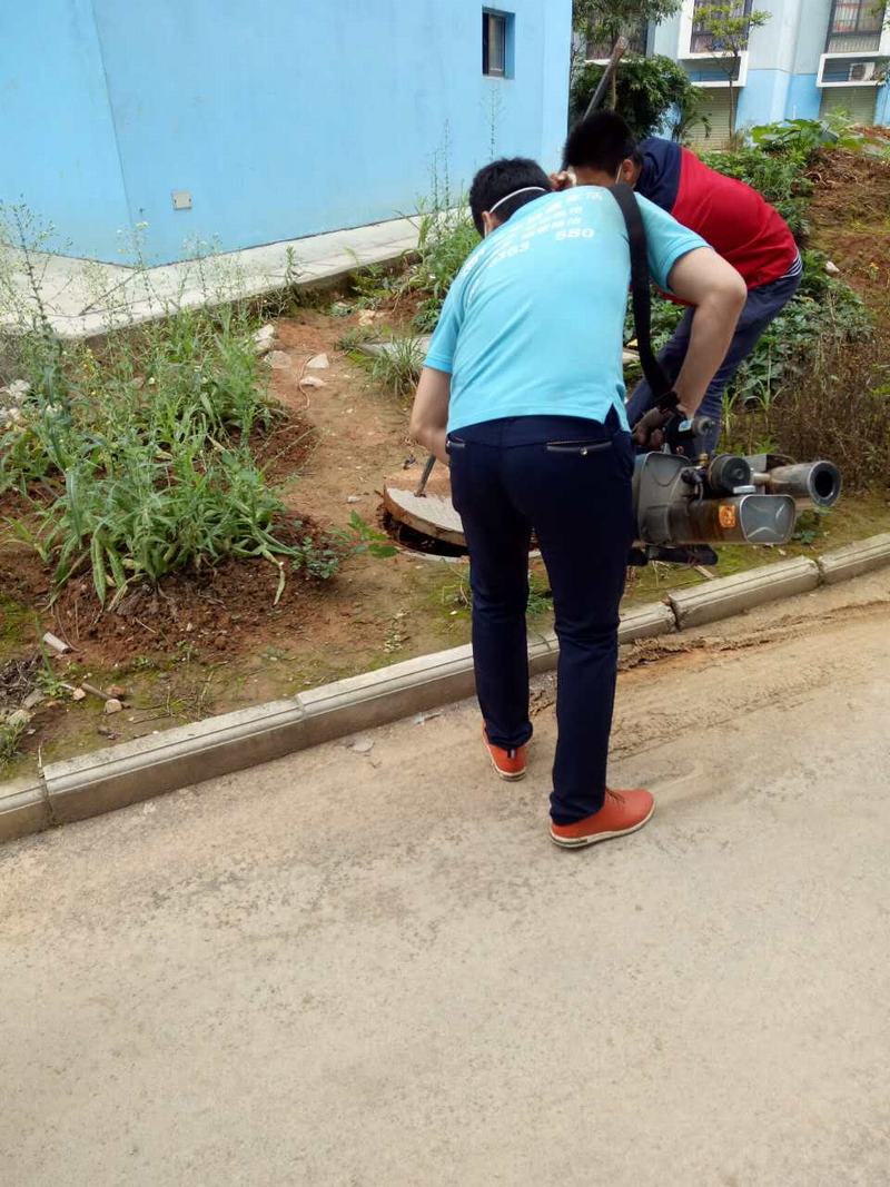 长沙社区物业白蚁防治