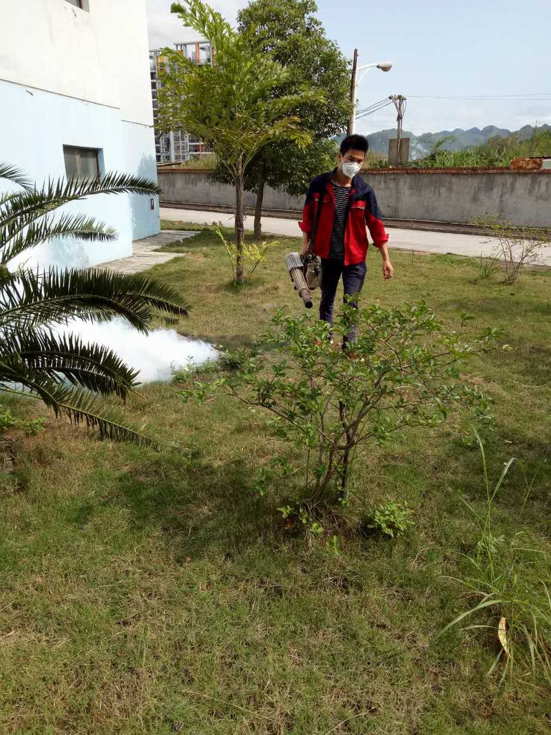 长沙社区白蚁防治