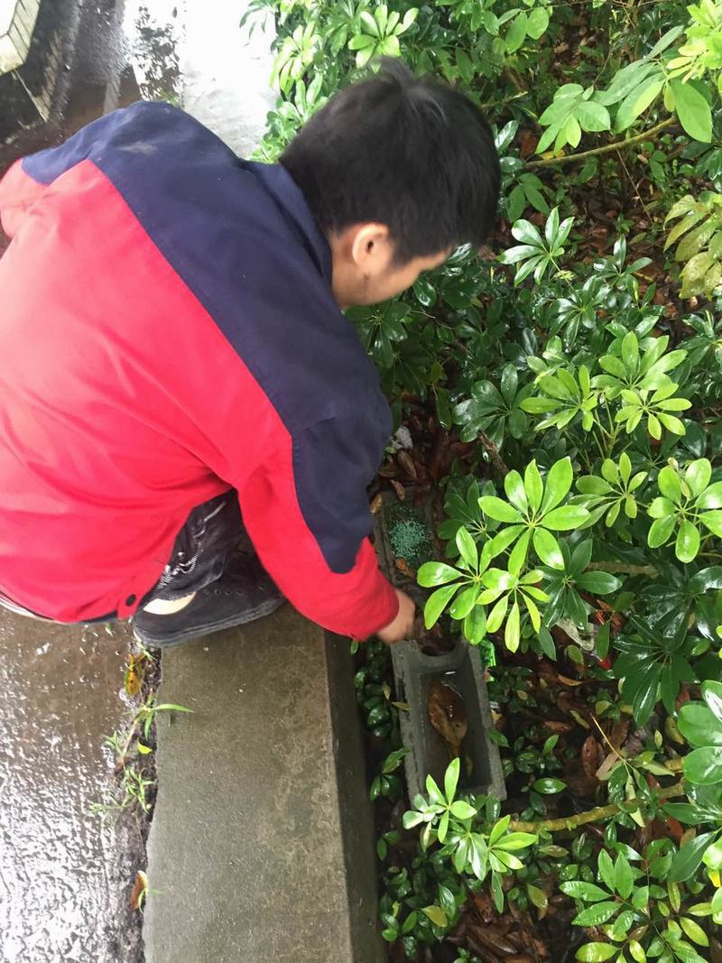长沙物业小区白蚁防治