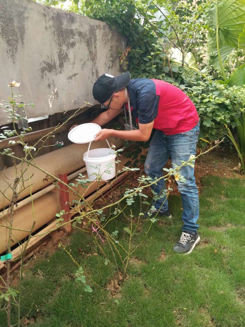 长沙机关单位灭鼠灭害