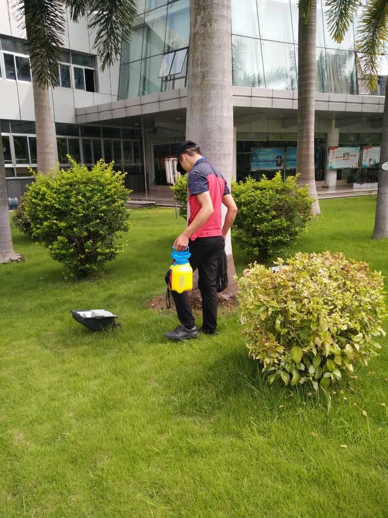 长沙娱乐场所灭鼠