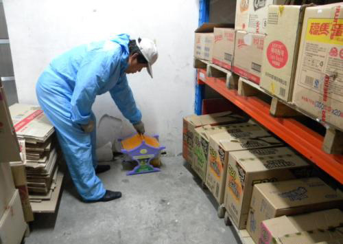 长沙机关单位灭鼠灭害