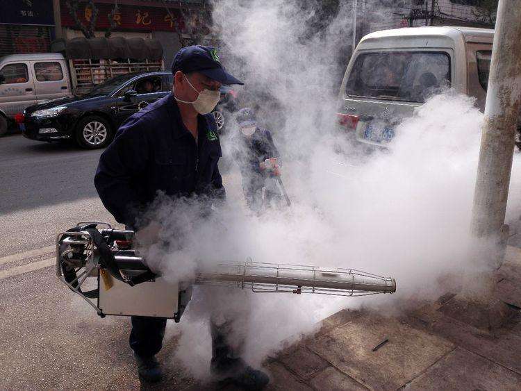 长沙机关单位灭鼠灭害