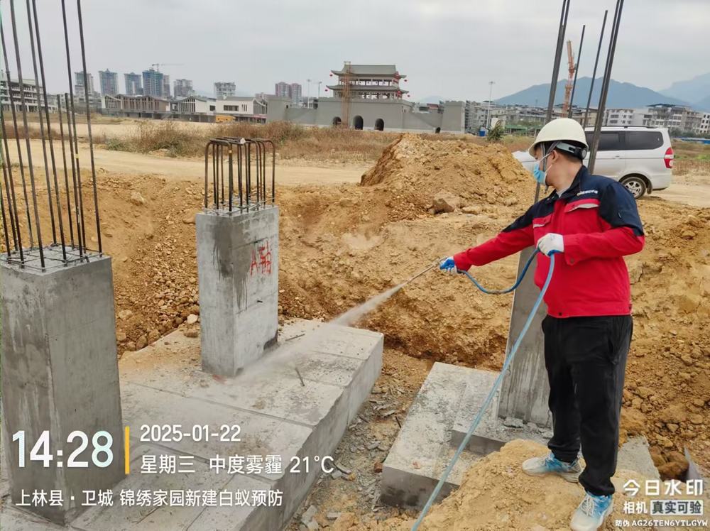 长沙新建房白蚁预防