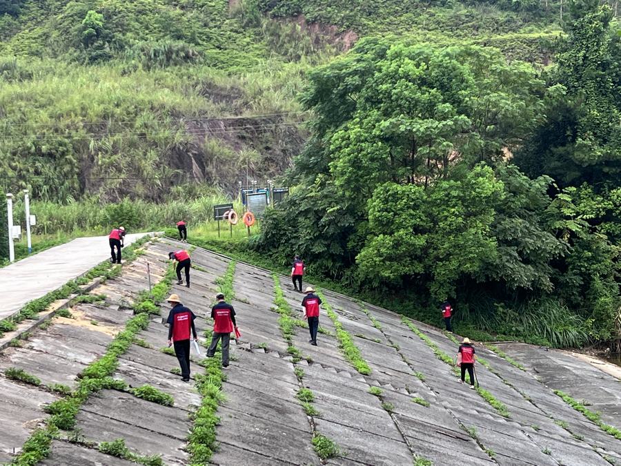 长沙白蚁防治训练营